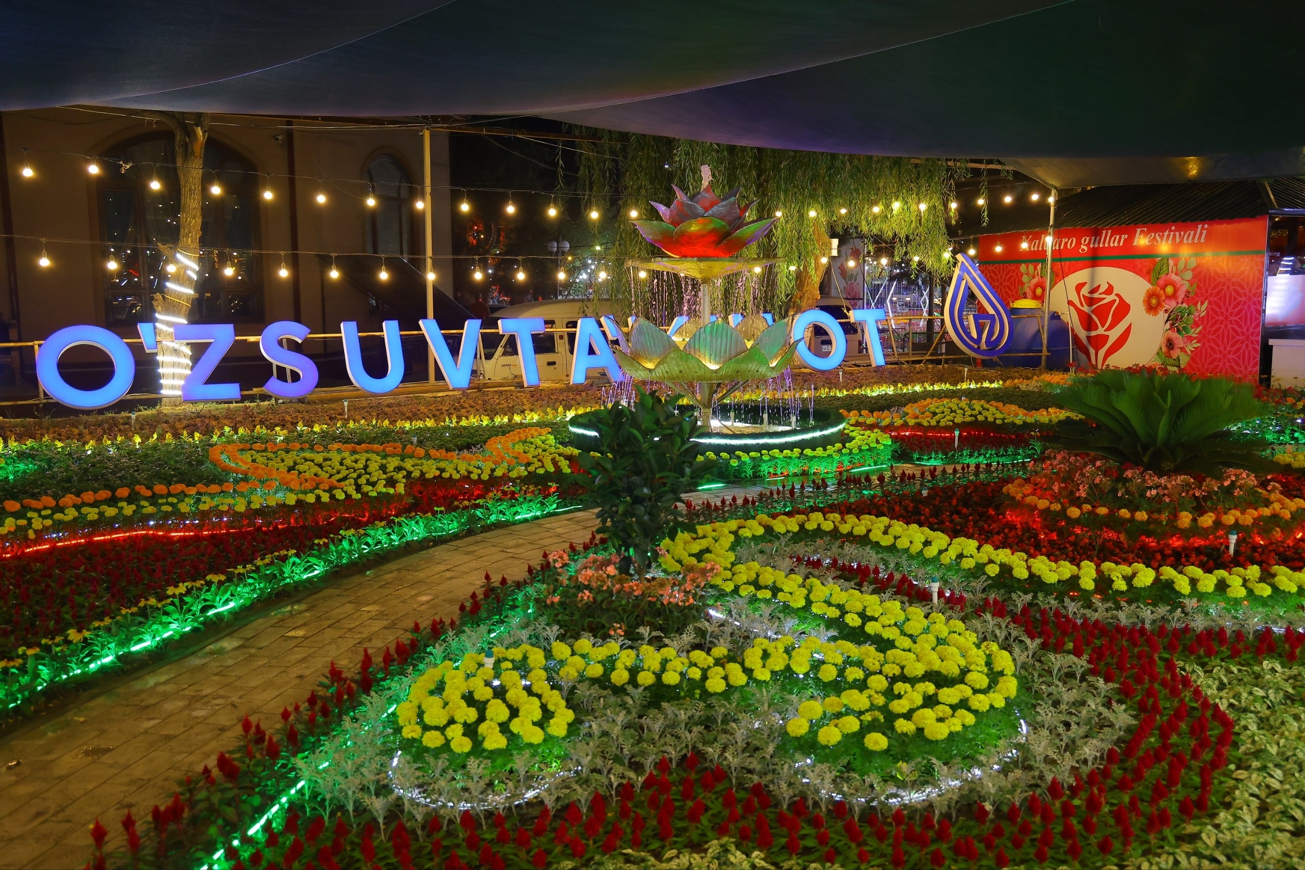 image-286.png