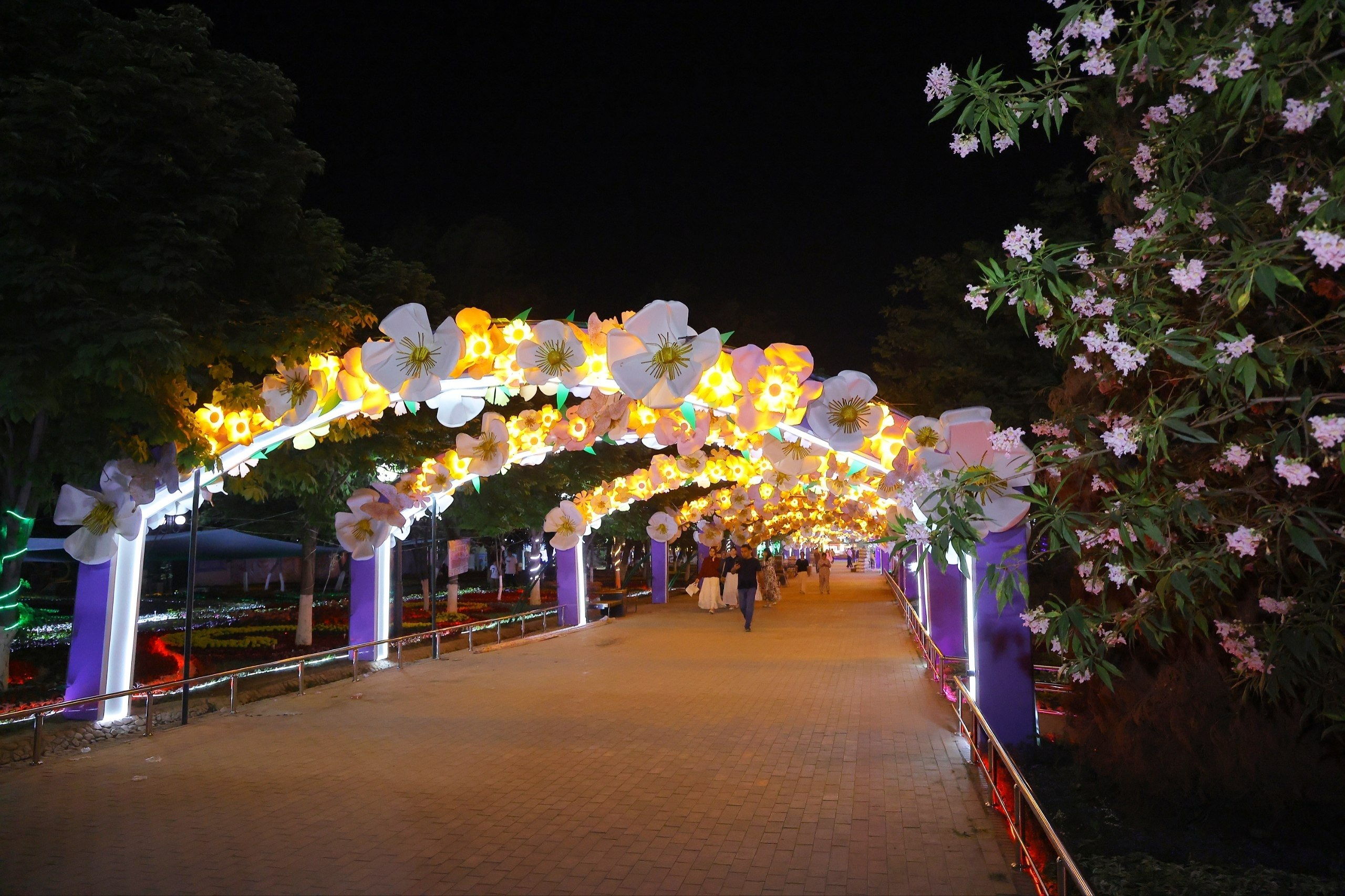 image-287.png